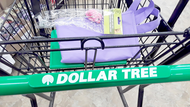 Dollar Tree shopping cart with bags