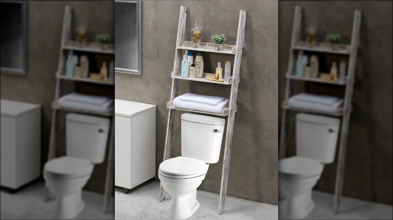 shelving ladder above a toilet
