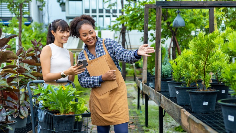 Person selecting plants from nursery