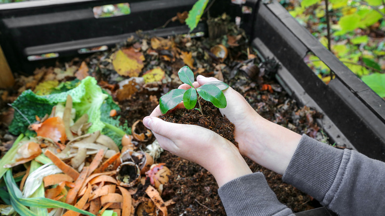 Person adding to home compost