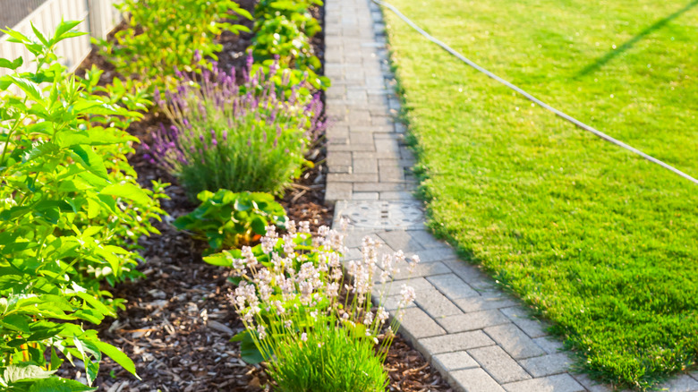 Hedges and flowers replace lawn