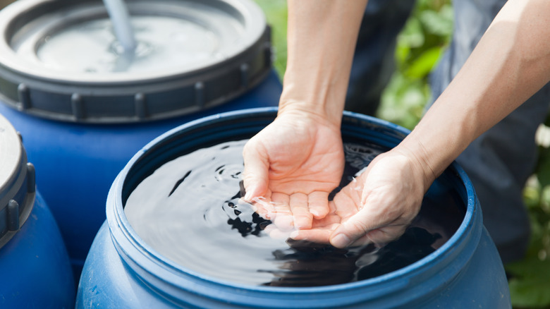 Hands in a rain barrel