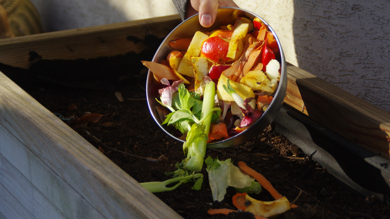 bowl of compost scraps