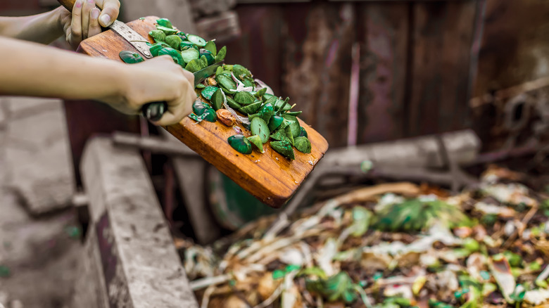 compost food scraps