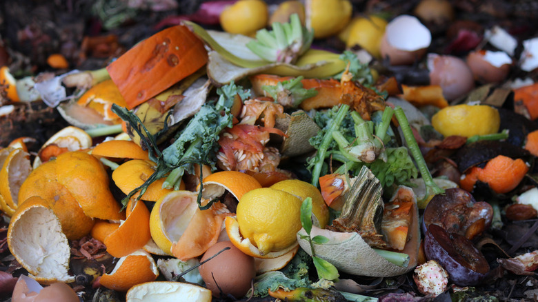 compost scraps on soil