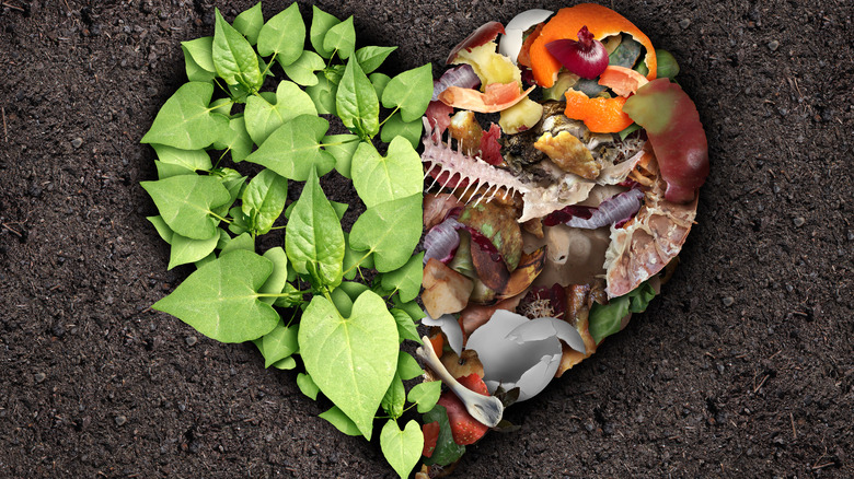 compost ingredients