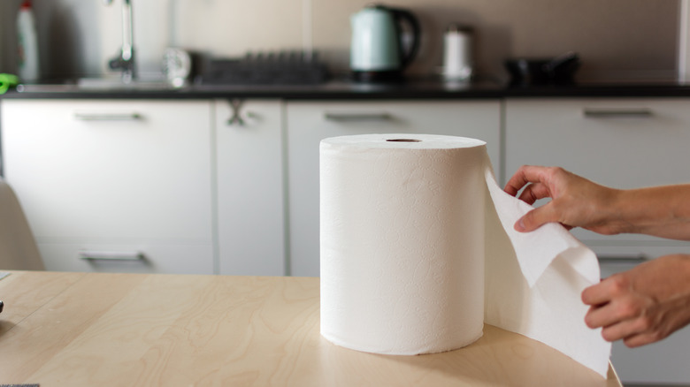 https://www.housedigest.com/img/gallery/how-to-make-your-own-reusable-paper-towels/intro-1699035187.jpg