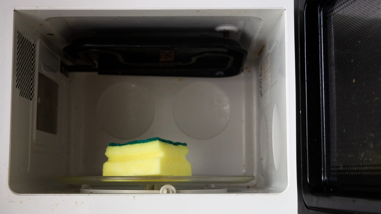 It's Not Your Average Sponge—This Grooved Sponge Makes Cleaning