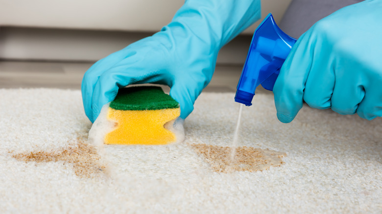 sponge used to clean carpet