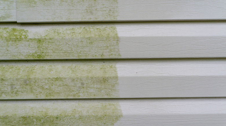 before & after cleaning siding