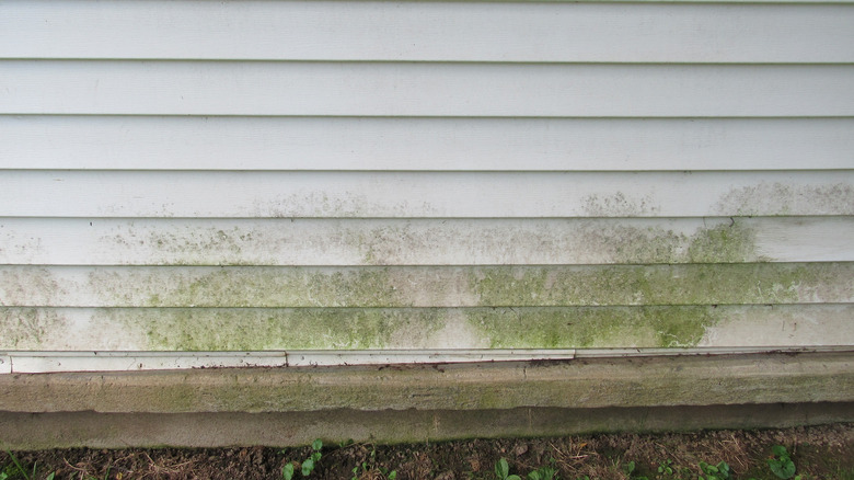 stained vinyl siding