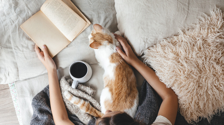 Person reading book in bed