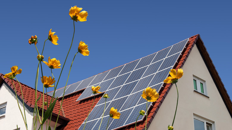 solar panels on clay roof