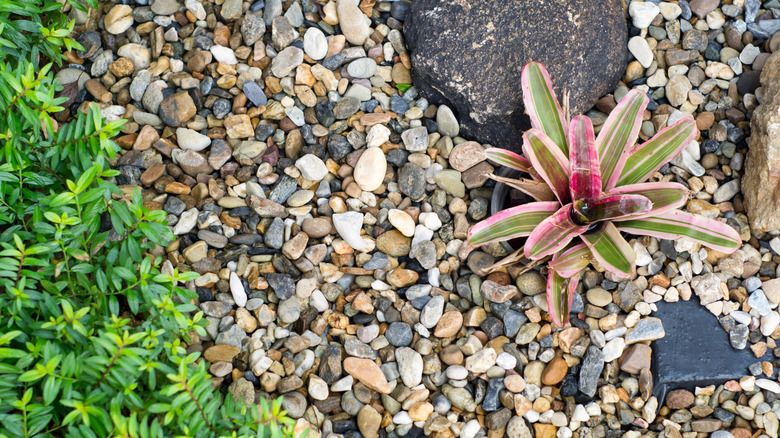 Pea gravel adds long-lasting beauty to landscaping.