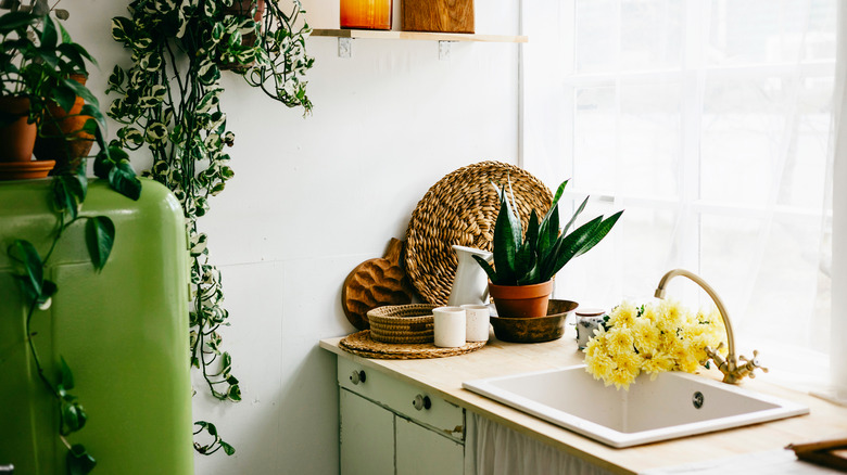 Eclectic kitchen sink with plants