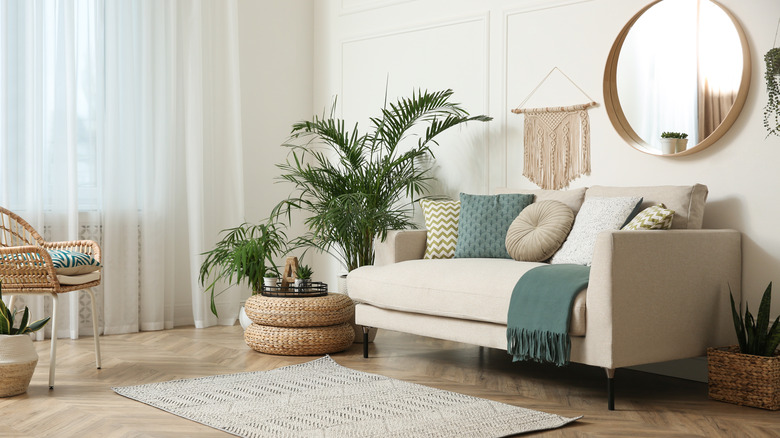 tall plant in corner behind sofa 