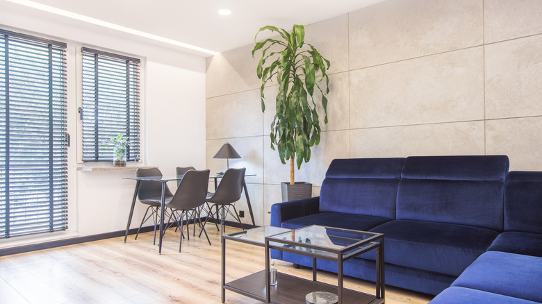 tall indoor plant next to blue sofa