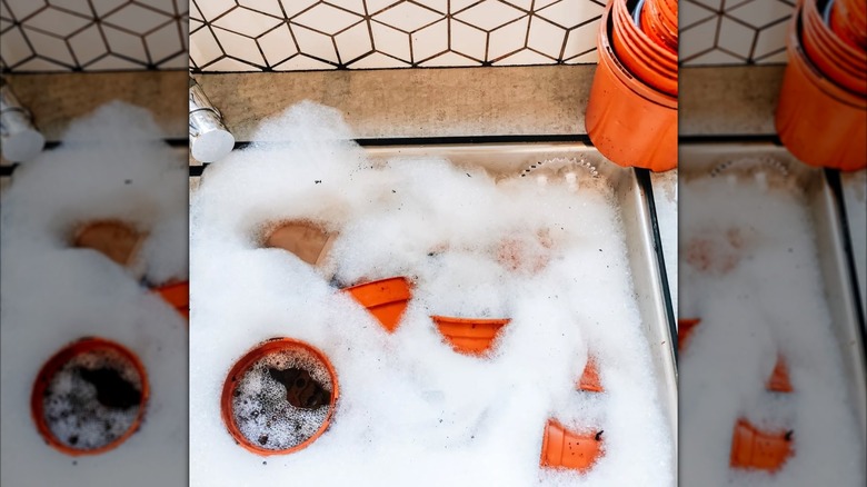 Flower pots soaking in a sink