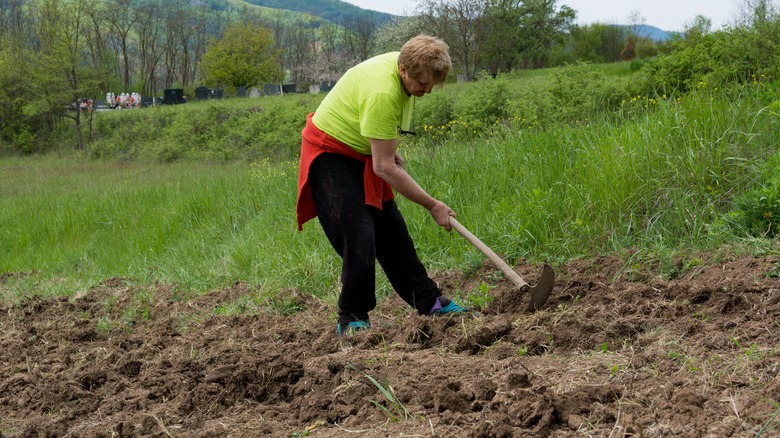 Woman breaking up soil