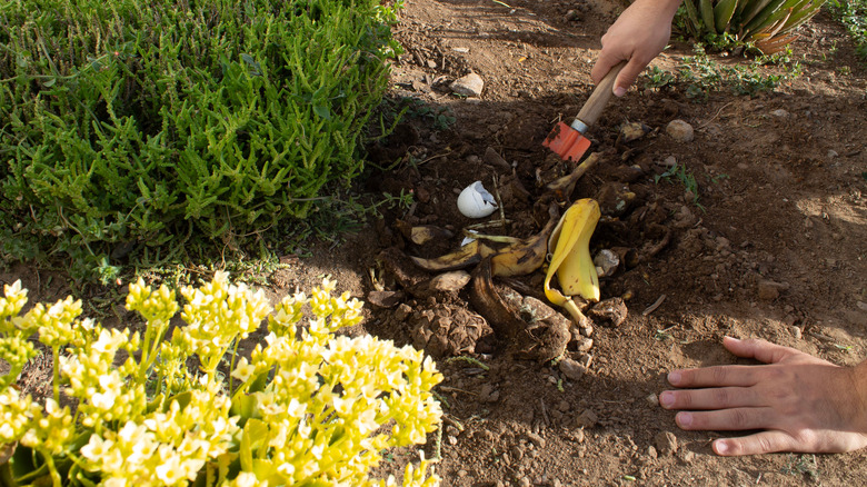 Mixing compost into the soil