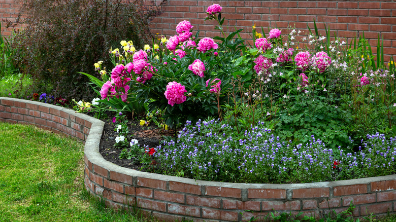 colorful flower bed in pavers