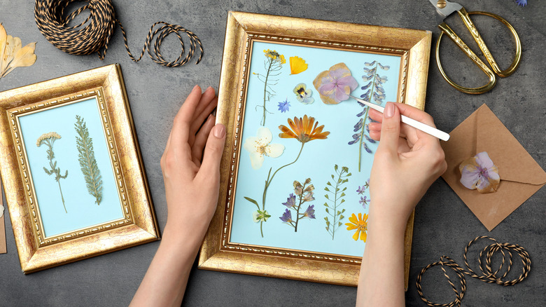 woman putting pressed flowers in frame
