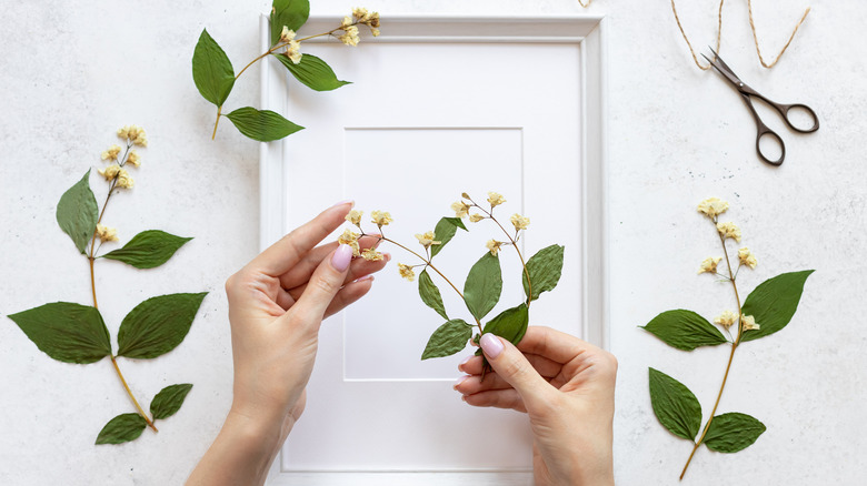 dried flowers in a white frame