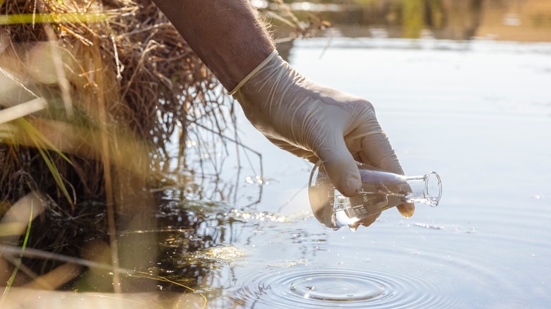 Person testing pond water