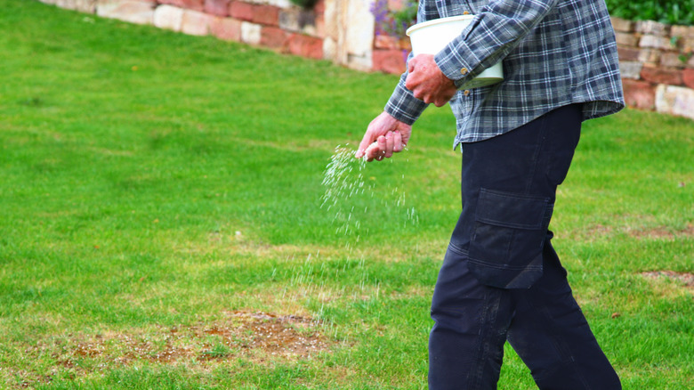 man fertilizing lawn