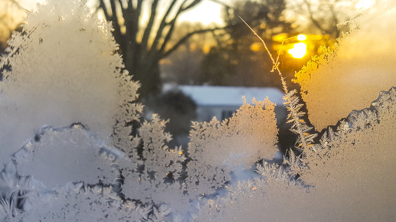 frost on window