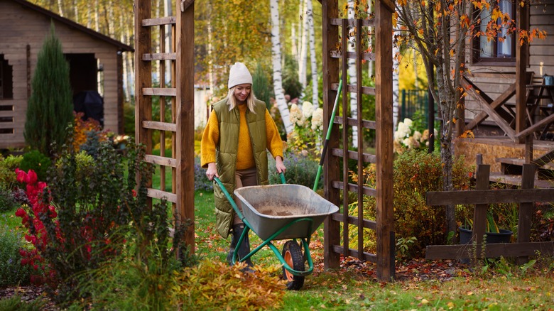 person tidying up lawn