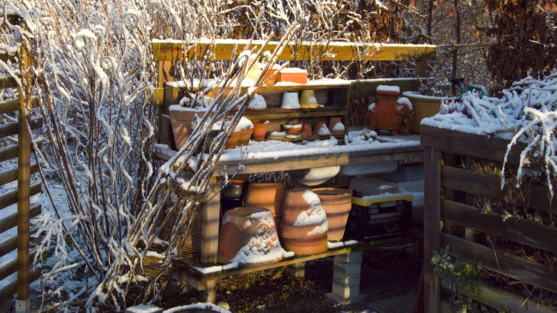 Terracotta planters on shelf with snow