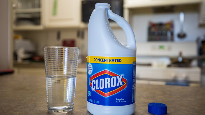 Bottle of bleach on a counter.