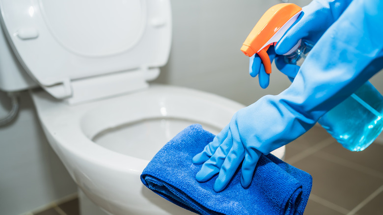 Person cleaning a toilet