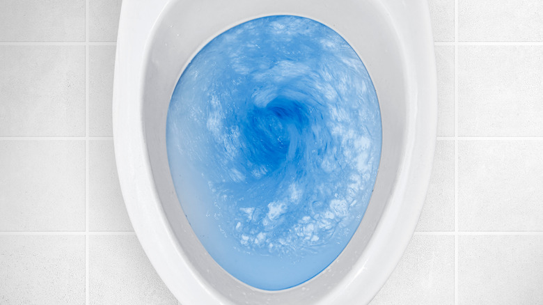 Blue water in a toilet bowl.