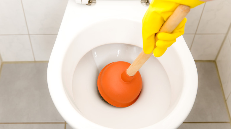 How to Clean a Toilet Brush and Plunger After Use