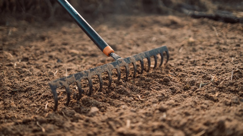 rake smoothing over soil