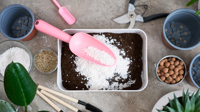 mixing succulent potting soil