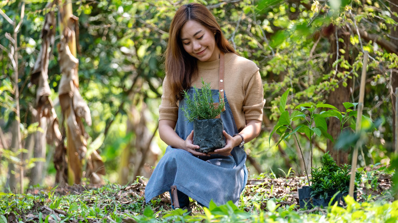 Woman holding tree in container