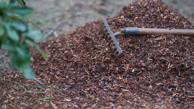 pile of mulch