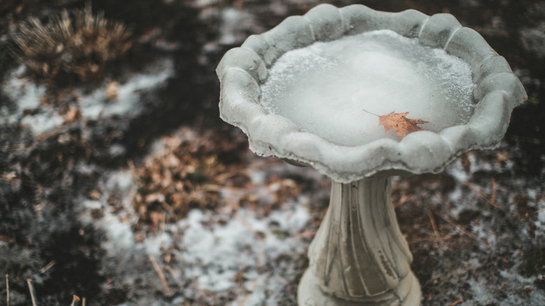 A frozen birdbath in winter has a sheen of ice.