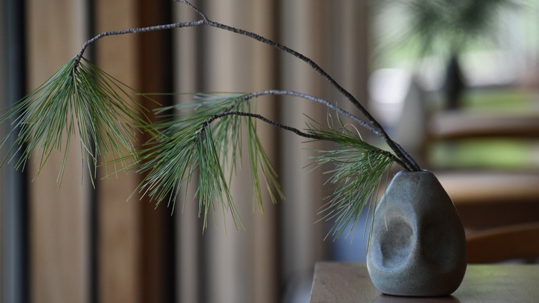 A fir cutting is artfully displayed in a grey ceramic vase sitting on a wooden table