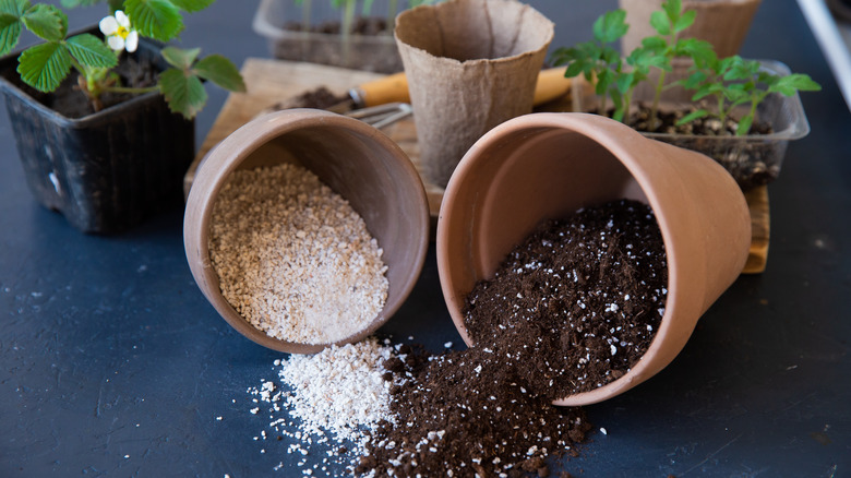 Soil flowing out of pots