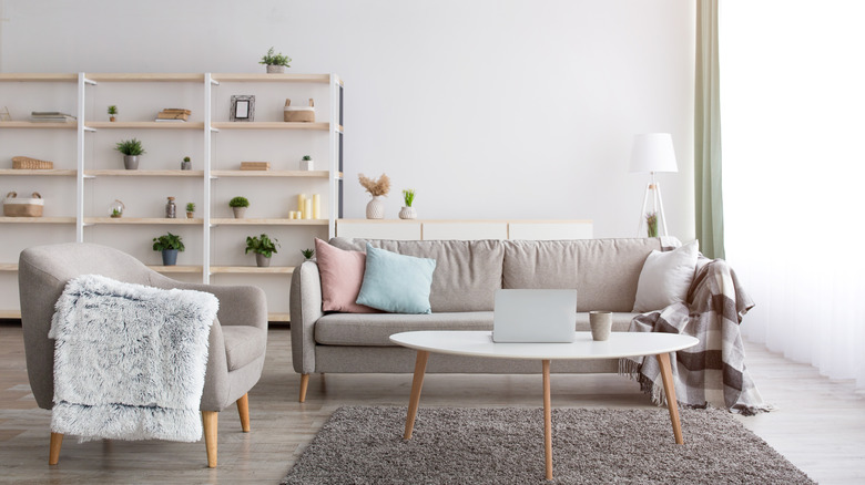 plants on open shelving in living room