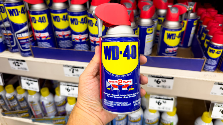 Person holding a can of WD-40 in a store