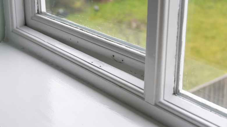 How to Clean Window Sills of Mold, Dirt, and Scuffs