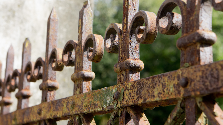 Rusty fence