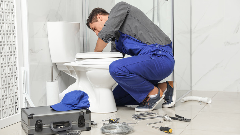 Person installing a toilet