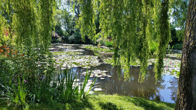 Giverny water lily pond