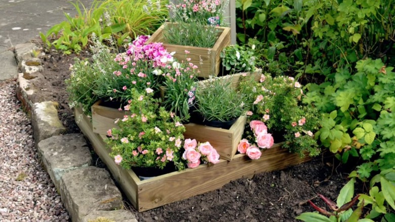Raised planter bed with pink flowers